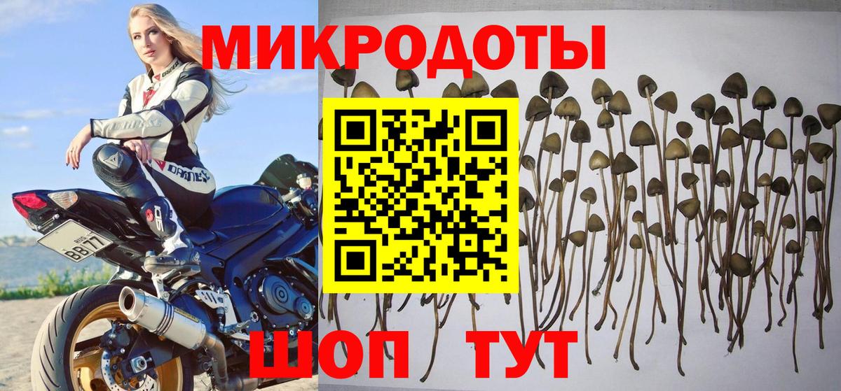 Галлюциногенные грибы мицелий  Псилоцибиновые грибы прущие грибы  Вход с VPN  Кириши 